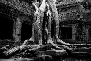 Rovine antiche del tempio di Angkor Thom, Cambogia