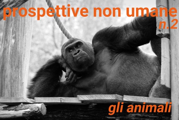 www.novantatrepercento.it n.29 "prospettive non umane n.2 - gli animali", foto di Valentin Jorel / www.unsplash.com