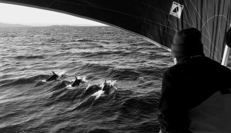 Canale di Beagle 2015, foto di Lorenzo Pavolini