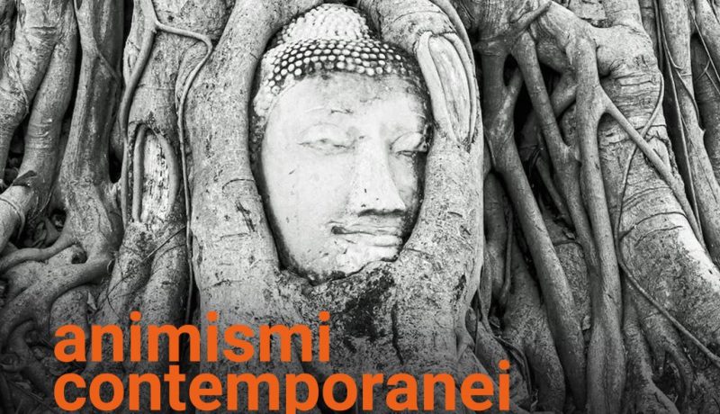 www.novantatrepercento.it n.33 "animismo contemporaneo", in foto: testa di Buddha incastonata in un albero di Banyan, Ayutthaya, Tailandia