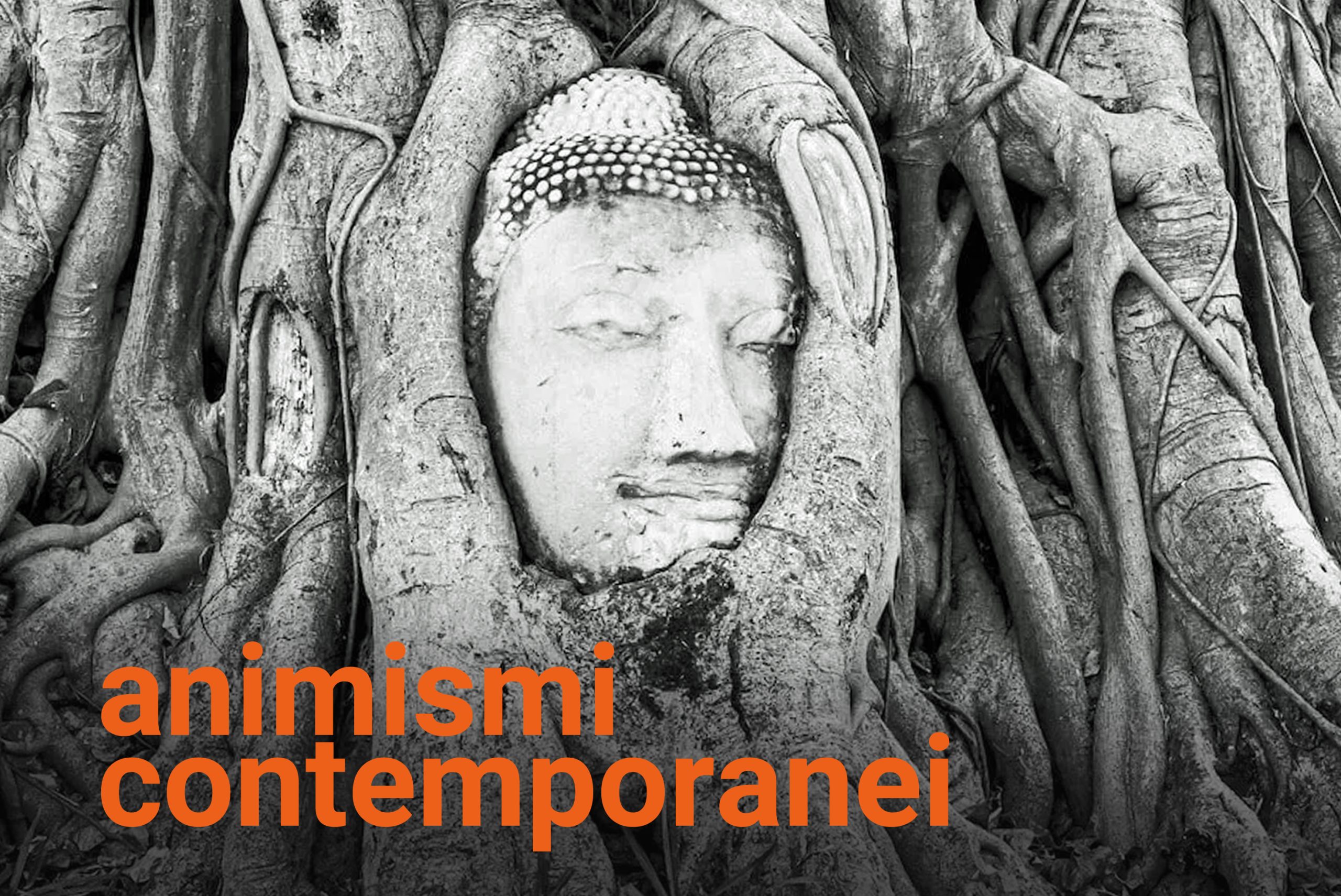 www.novantatrepercento.it n.33 "animismo contemporaneo", in foto: testa di Buddha incastonata in un albero di Banyan, Ayutthaya, Tailandia